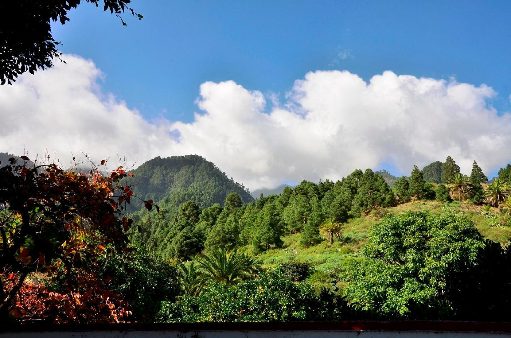 Casa Finca Avocado ลอสยานอส เด อารีดาเน ภายนอก รูปภาพ
